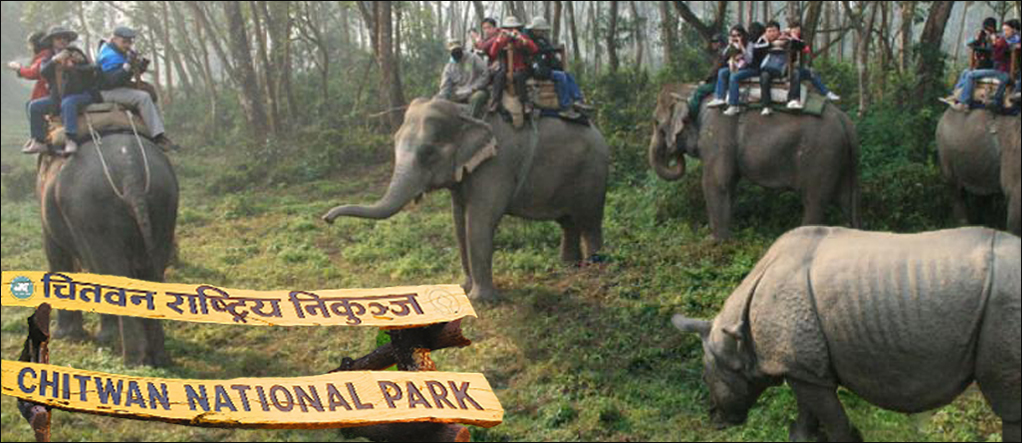 Chitwan National park