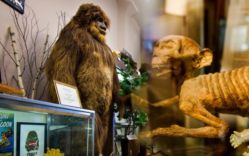 Strange and Crazy Museums across the World That Will Spin Your Head
