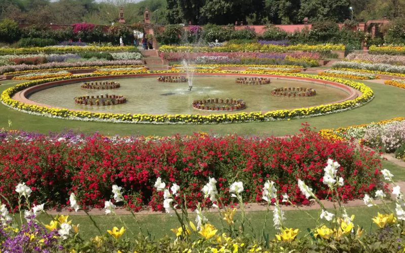 The Bouquet Of Colorful Flowers At Mughal Garden Awaits Your Presence! Visit before 8th March