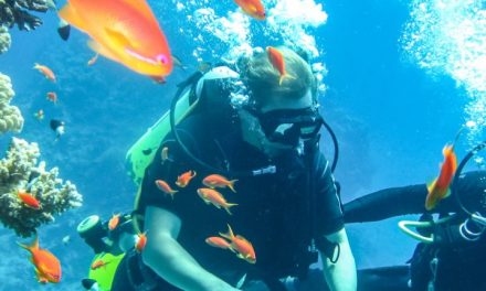 Scuba Diving Adventures In India