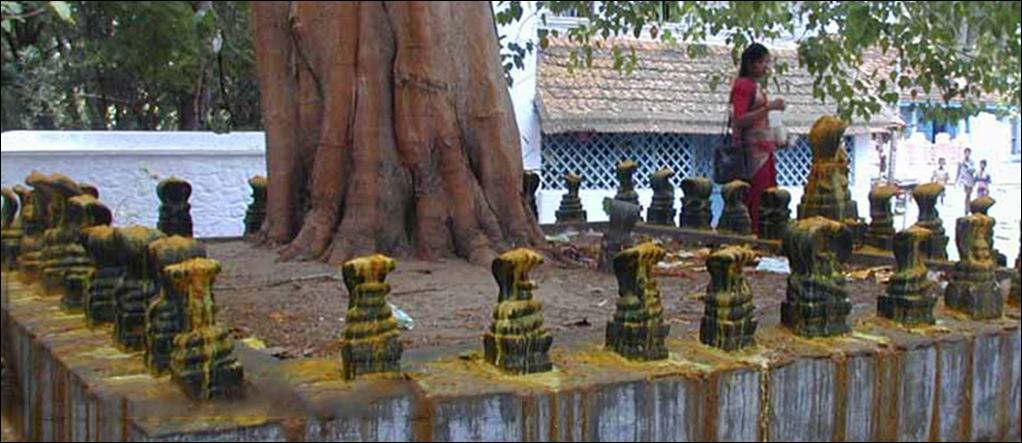 Nagraja Temple