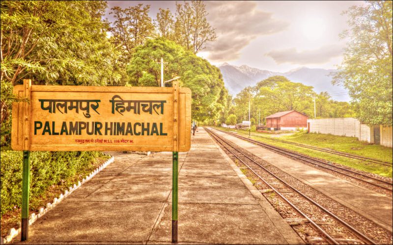 Read more about the article Reasons Why You Should Invest Your Time in Palampur This Year