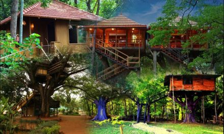 7 Best Tree Houses in India to Relive Childhood Days: Gateway for a perfect Staycation
