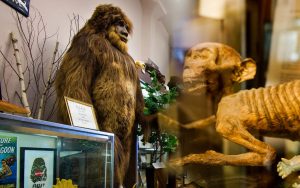 Read more about the article Strange and Crazy Museums across the World That Will Spin Your Head