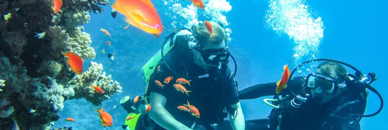 Scuba Diving Adventures In India