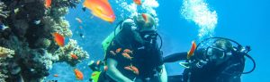 Read more about the article Scuba Diving Adventures In India