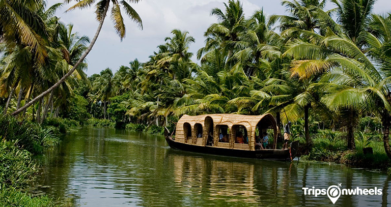 Backwater Bliss Kerala India - Tripsonewheels