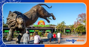 Read more about the article San Diego Zoo California USA: Complete Guide – Tripsonwheels