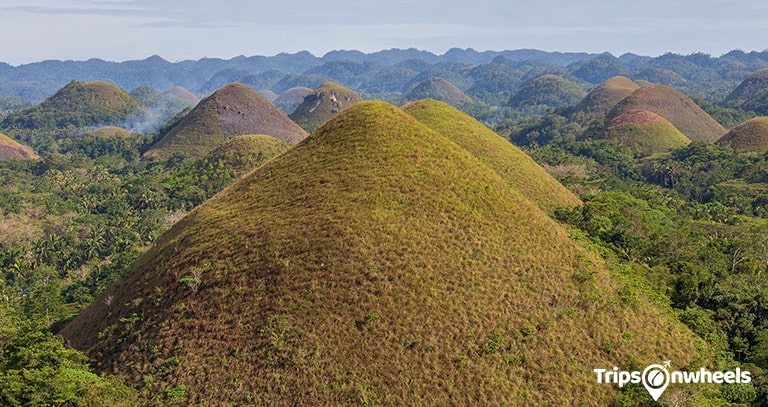 Chocolate Hills of Bohol Island, the Philippines - Tripsonwheels