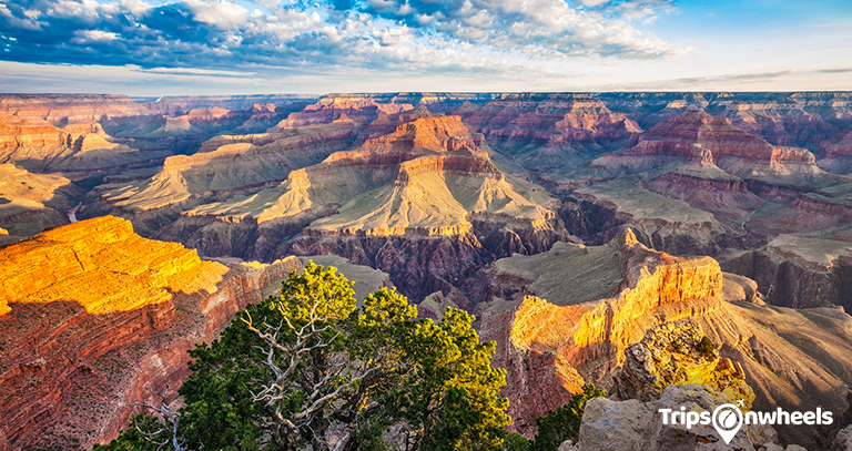 The Grandeur of the Grand Canyon - Tripsonwheels