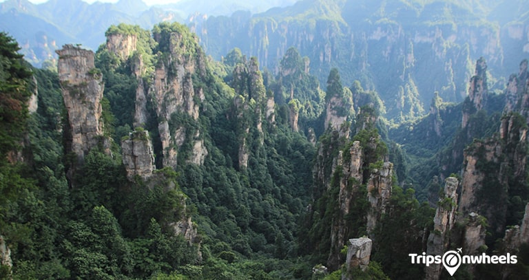 The Tianzi Mountains, China - Tripsonwheels
