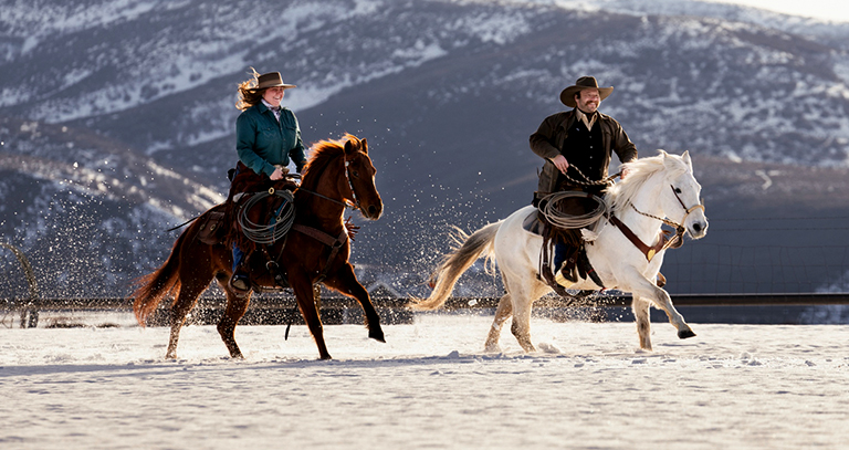 Read more about the article 10 Best Places for Horse Riding in the World