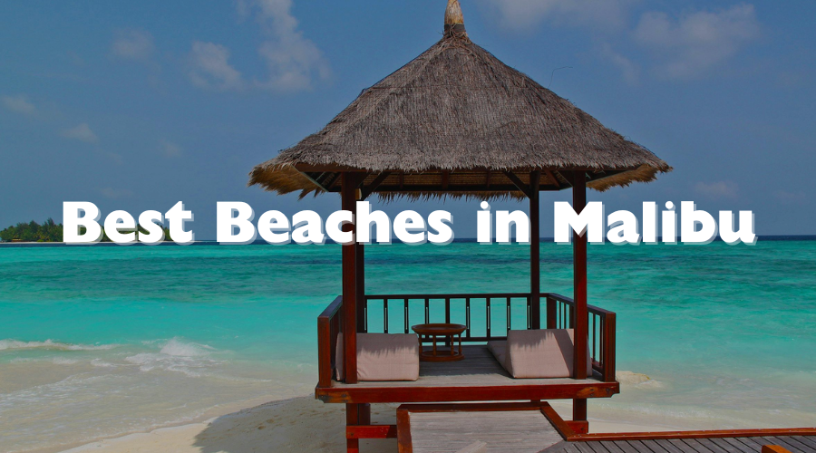 You are currently viewing Best Beaches in Malibu: Top Coastal Gems to Visit in 2025