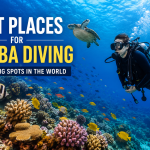 Best Places for Scuba Diving in the World | Top Diving Spots